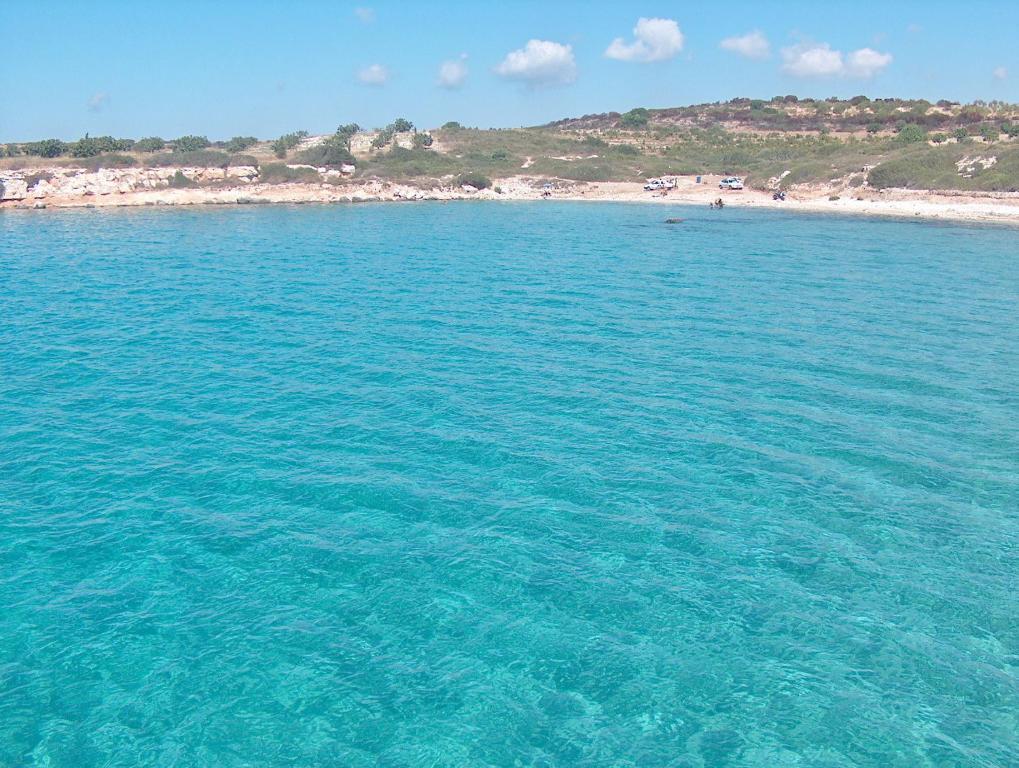 Triton Apartments Didim Extérieur photo
